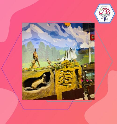 آمادگی و دبستان غیردولتی دخترانه تمام هوشمند پژوهش